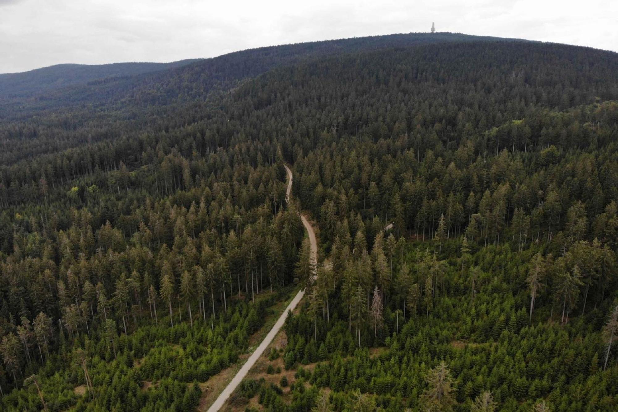 Panoramaapartment Am Ochsenkopf Bischofsgrün Esterno foto